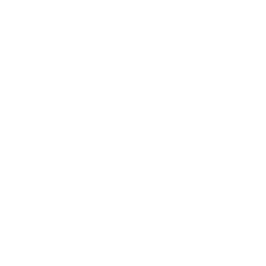 Elegance On Any Budget